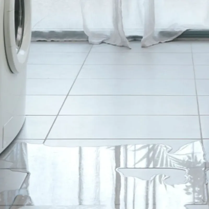 Appliance Leak Cleanup in Winter Park, FL